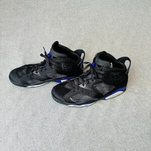 *RARE* Air Jordan 6 Retro Social Status "Pony Hair" size 14M